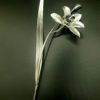 ORQUIDEA PLATA DE LEY CON UNA SOLA FLOR DE 25 CM.