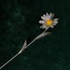 FLOR DE PLATA - MARGARITA EN PLATA DE LEY ESMALTADA - 24 CM